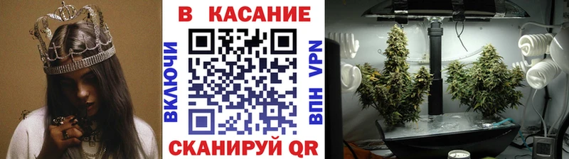 Купить закладку Старая Русса Cocaine  Псилоцибиновые грибы  АМФ  МАРИХУАНА  ТГК  Alpha-PVP  Меф мяу мяу  Гашиш 