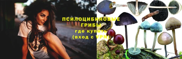 соль курить ск Россошь