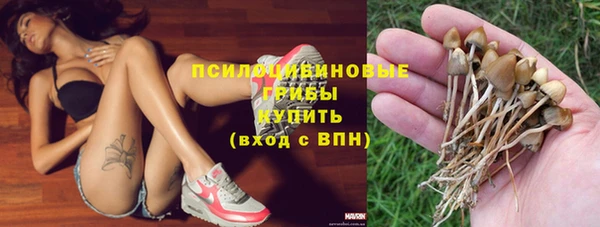 соль курить ск Россошь